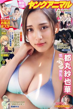 归路 电视剧